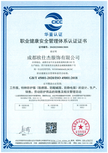 職業(yè)健康安全管理體系